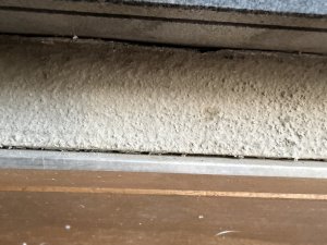 IMG_5654.jpeg
