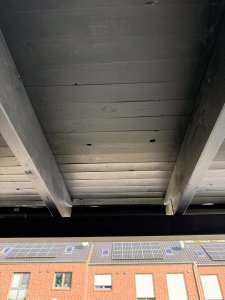 IMG_7433.jpeg