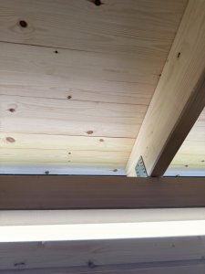 IMG_7409.jpeg