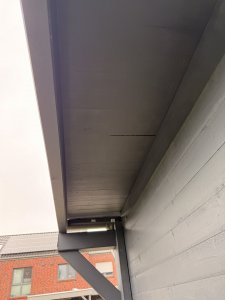 IMG_7410.jpeg