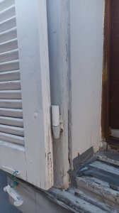 6ddf3d92-9957-4d83-9b66-73f745ada87a.jpg