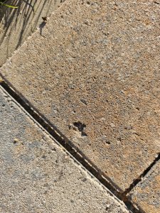 IMG_20261016_161820.jpg