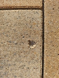 IMG_20261016_161815.jpg