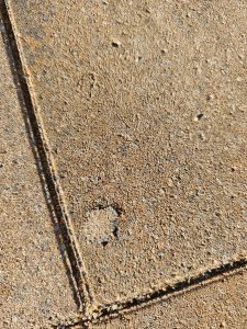 IMG_20261016_161746.jpg