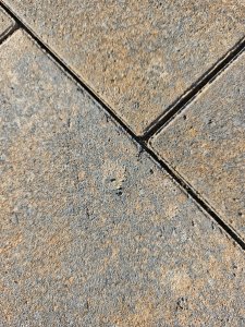 IMG_20261016_161742.jpg