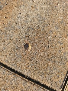 IMG_20261016_161737.jpg