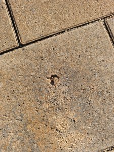 IMG_20261016_161728.jpg