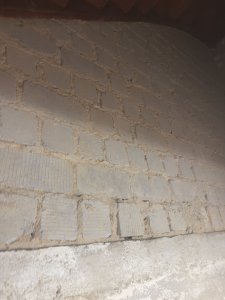 IMG_8647.jpeg