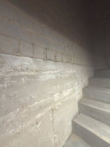IMG_8648.jpeg