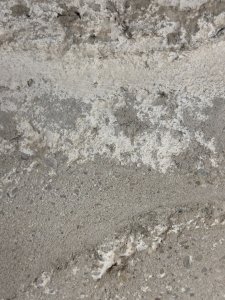 IMG_8649.jpeg