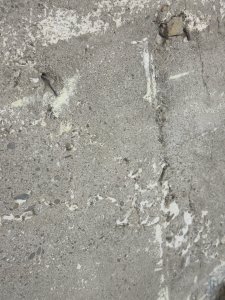 IMG_8650.jpeg