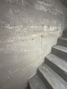 IMG_8651.jpeg