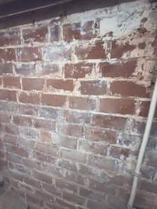 IMG_8655.jpeg