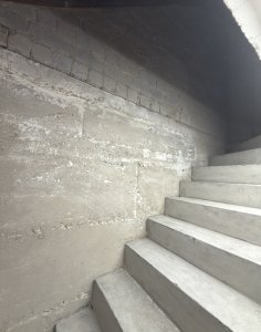 IMG_8910.jpeg