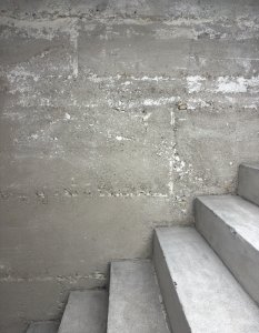 IMG_8911.jpeg