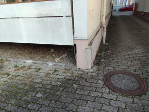 IMG_20261019_173505.jpg