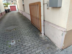 IMG_20261019_173626.jpg