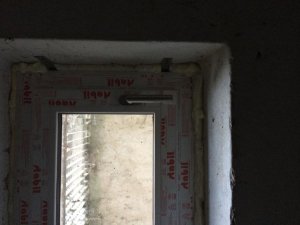 IMG_3648.jpg