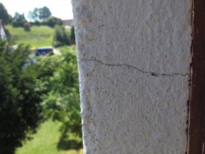 IMG_1154.jpg