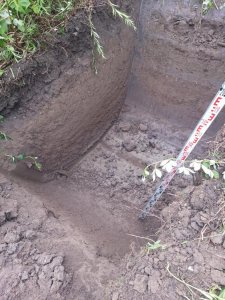 20140730_162518.jpg