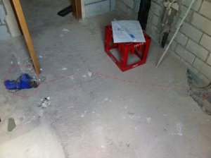 IMG_7969.jpg