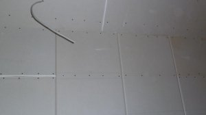 P1050569.jpg