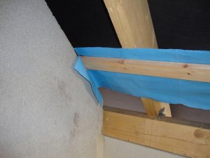 DSC07508.jpg