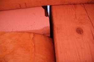 IMG_0573.jpg