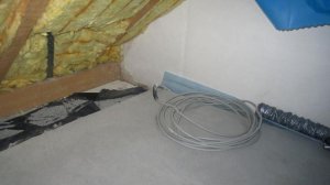 IMG_4238.jpg