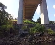 bruecke-4.jpg