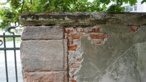 DSC01203 (800x450).jpg