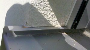 2014-09-19_07-46-03_176.jpg
