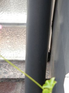 DSCF2301.JPG