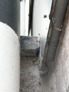 DSCF2303.JPG