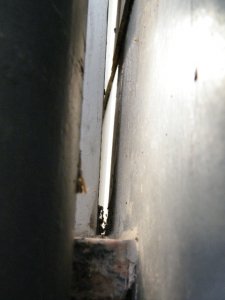 DSCF2306.JPG