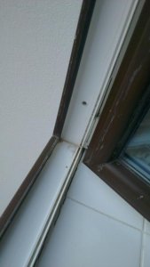 IMAG1045.jpg