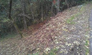 IMAG0695.jpg