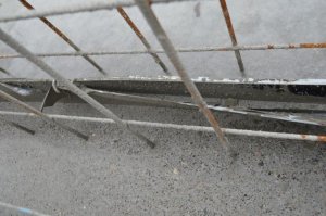 __DSC_0502.jpg