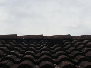 20141025_155702.jpg