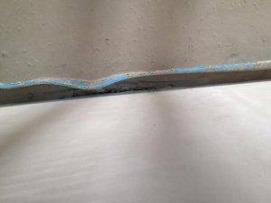 IMG_1393.jpg