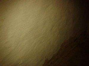 2014-11-05 18.40.38.jpg