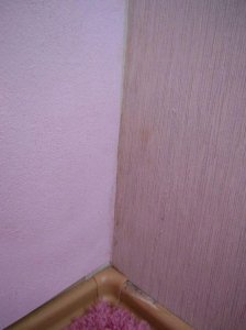 DSCN4441.jpg