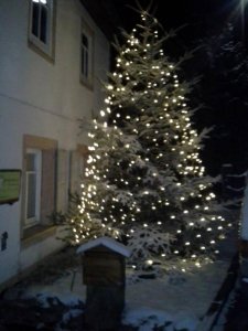 winter14.jpg