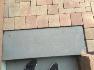 IMG_7153.jpg