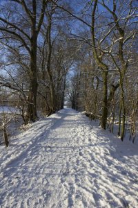 IMG_0317.jpg