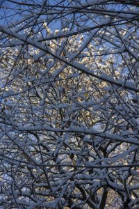 IMG_0319.jpg