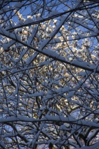 IMG_0320.jpg