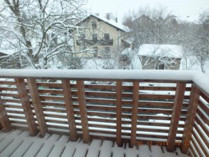 DSCF0781.jpg