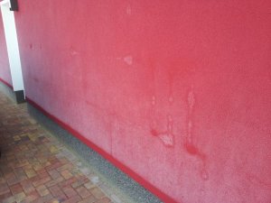 20141227_122347.jpg