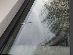 IMG_0663.jpg